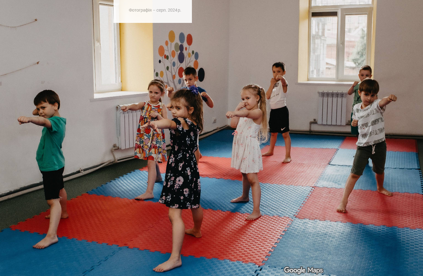 Фото — Харківський ліцей «Хані Академія»